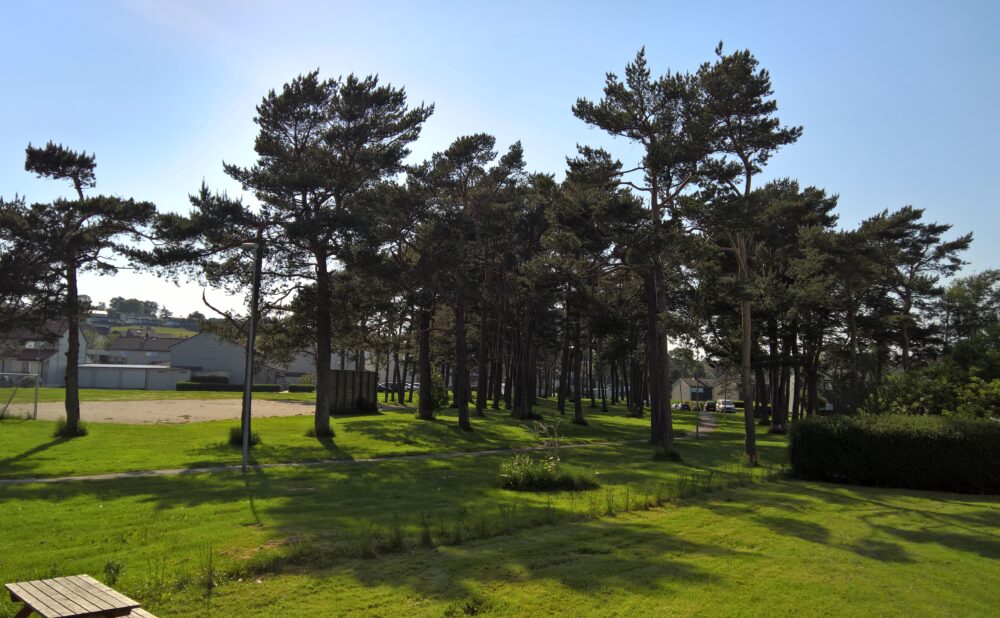Foto: Yngve Wikøren Nilsen